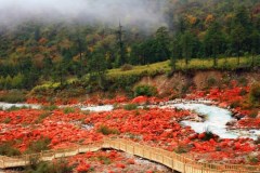 海螺壹號-木格措、瀘定橋、紅石公園、磨西古鎮(zhèn)3日游