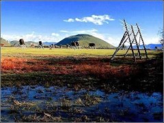 東巴秘境-麗江、大理、瀘沽湖純玩雙飛7日游